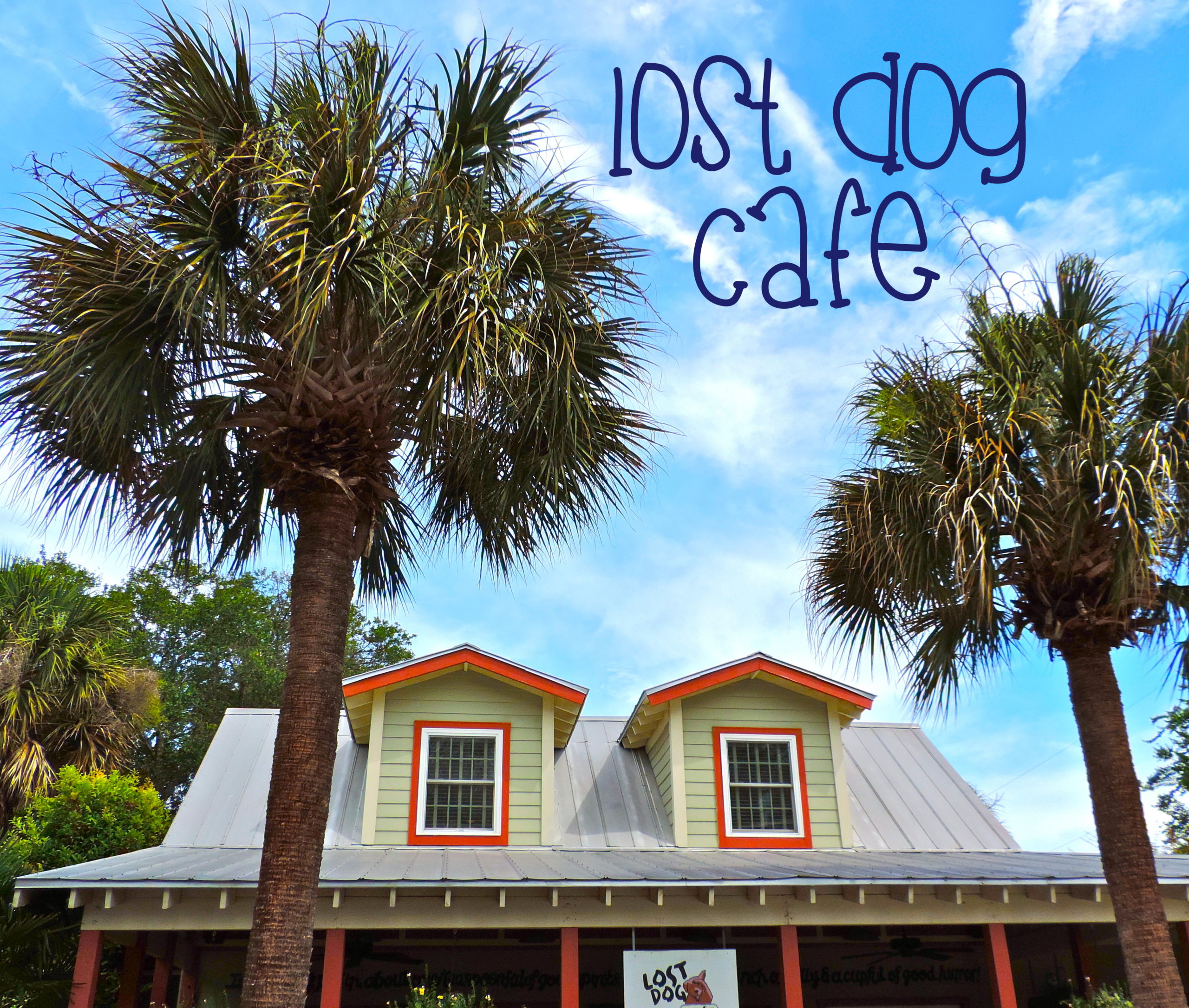 Lost Dog Cafe – Folly Beach, SC