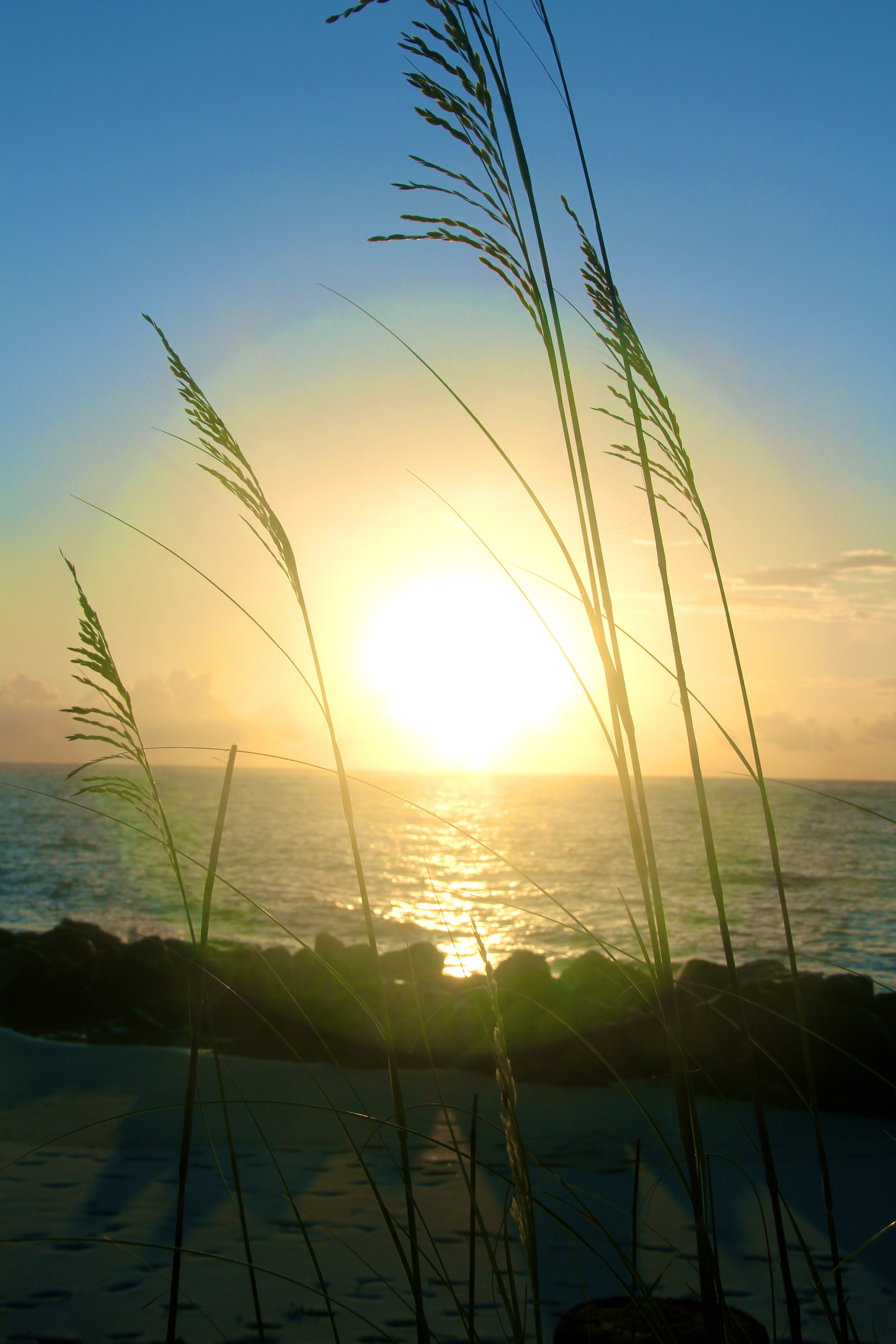 Folly_Beach_Sunrise