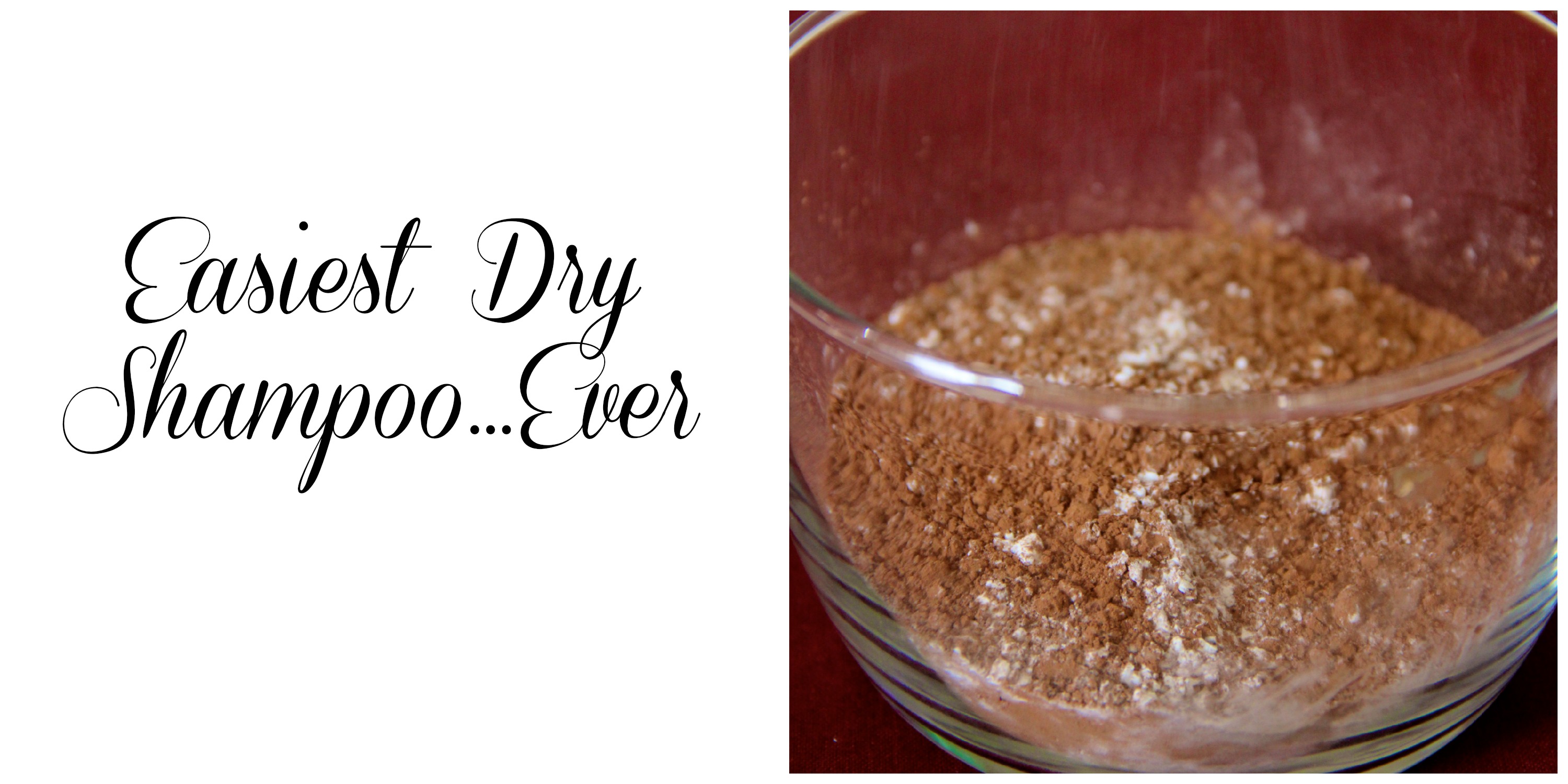 Easiest Dry Shampoo Ever | girl about columbus