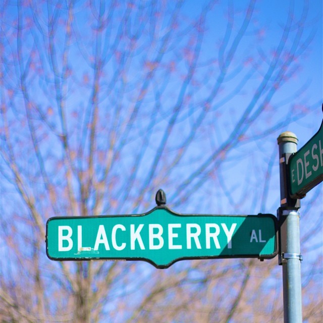 Blackberry Alley | German Village | girl about columbus