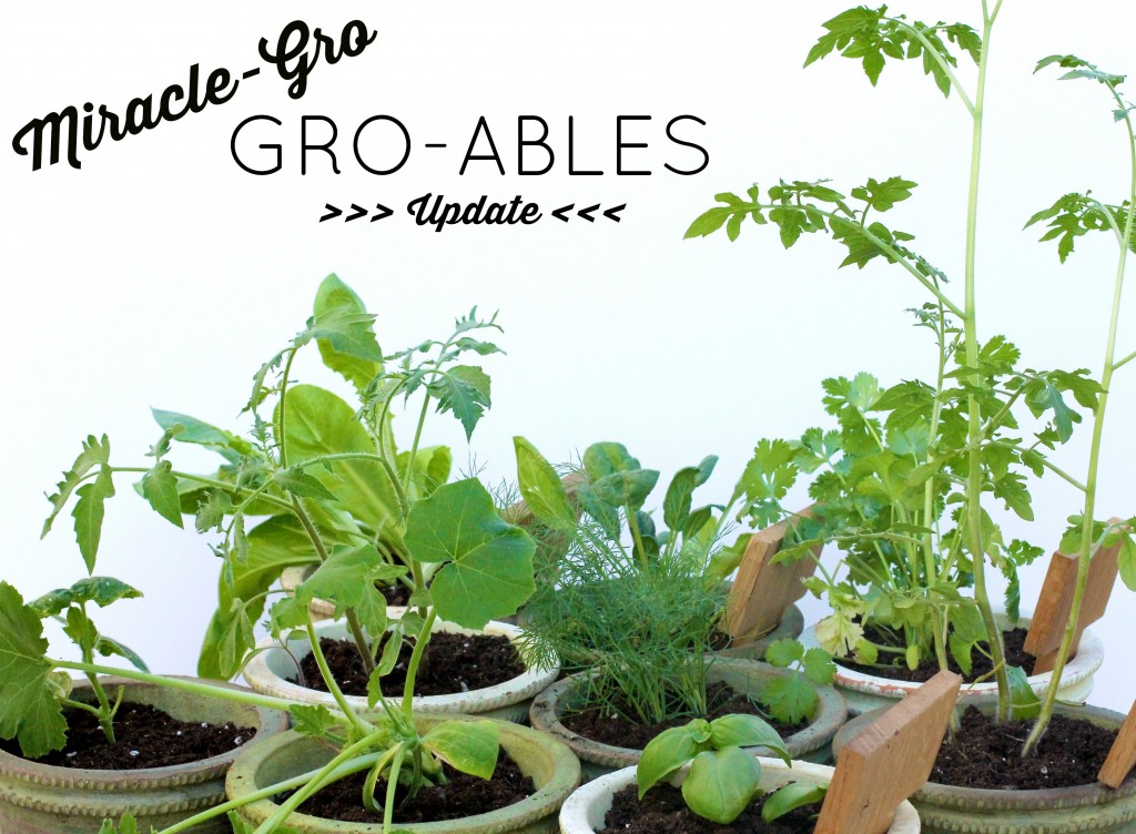 Miracle Gro Groables | girl about columbus