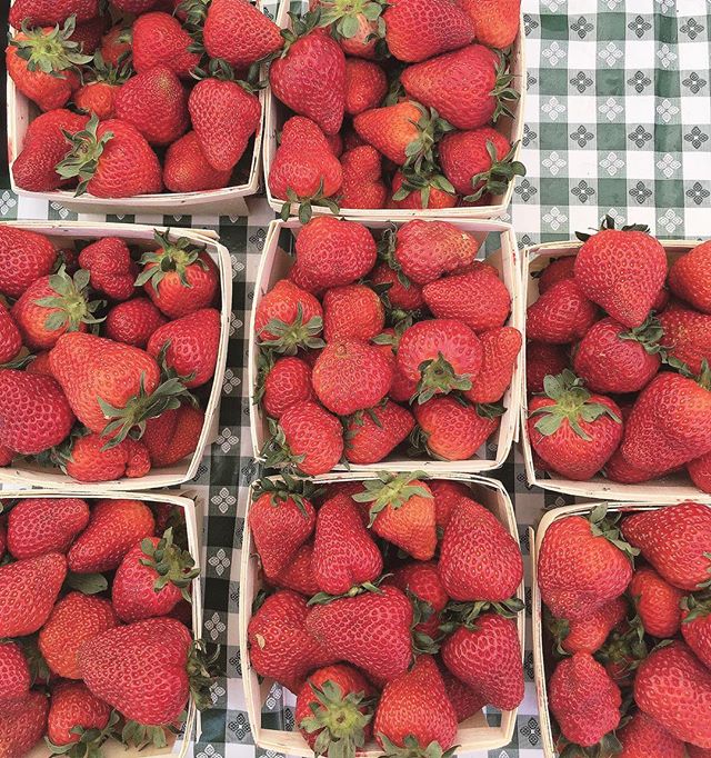 rhoads farms strawberries