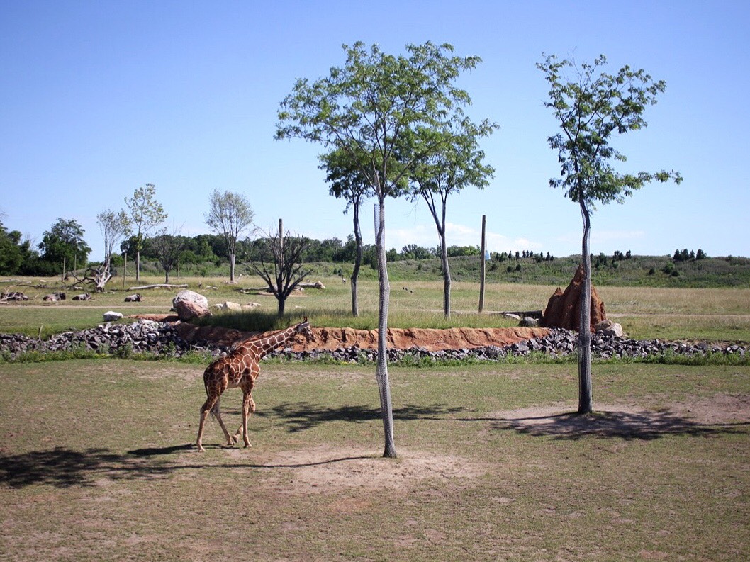 columbus zoo