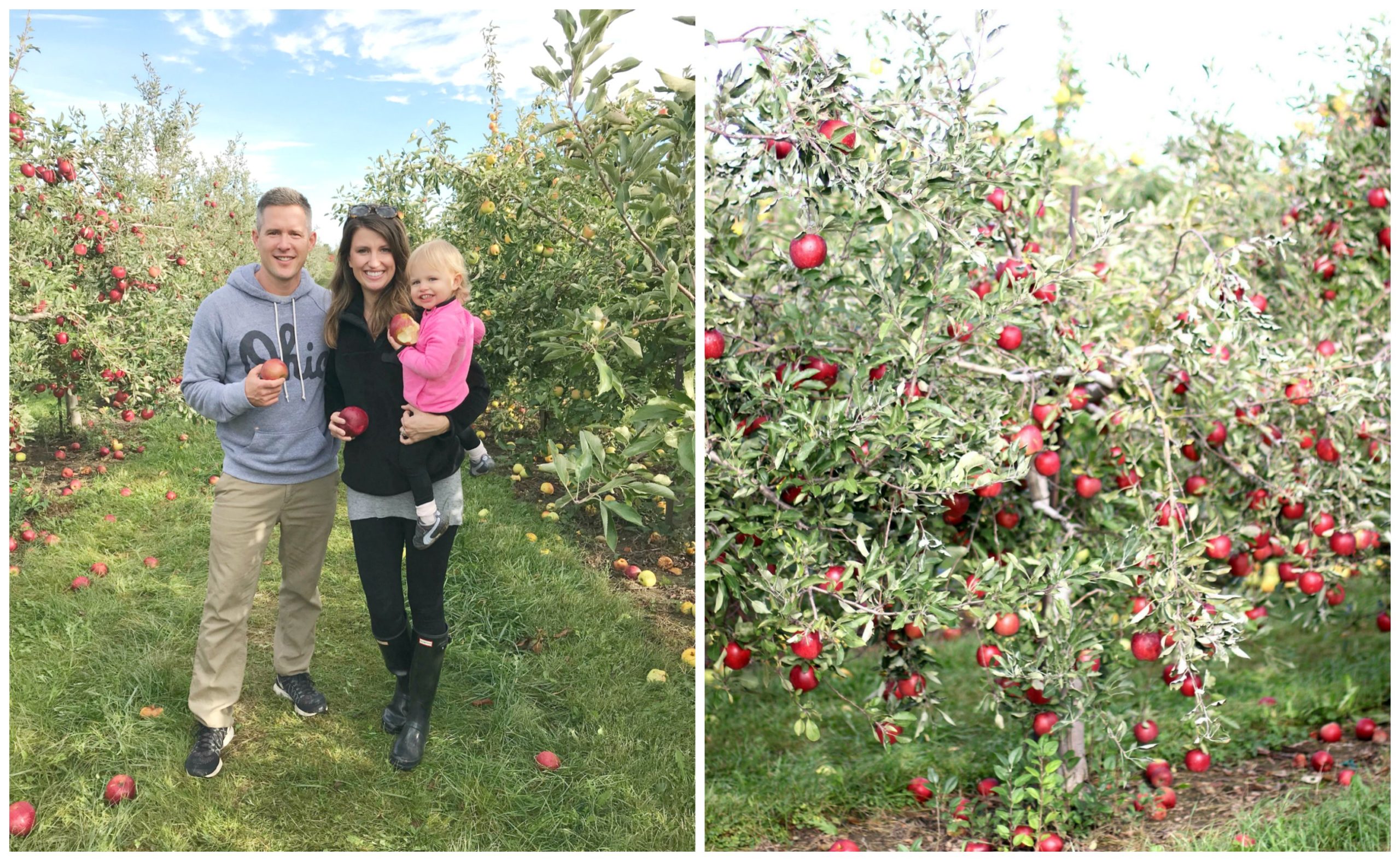 Our Apple Picking Trip 2017