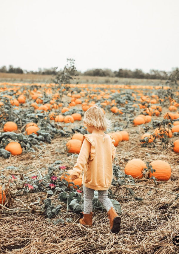 13 Family Traditions to Start this Fall