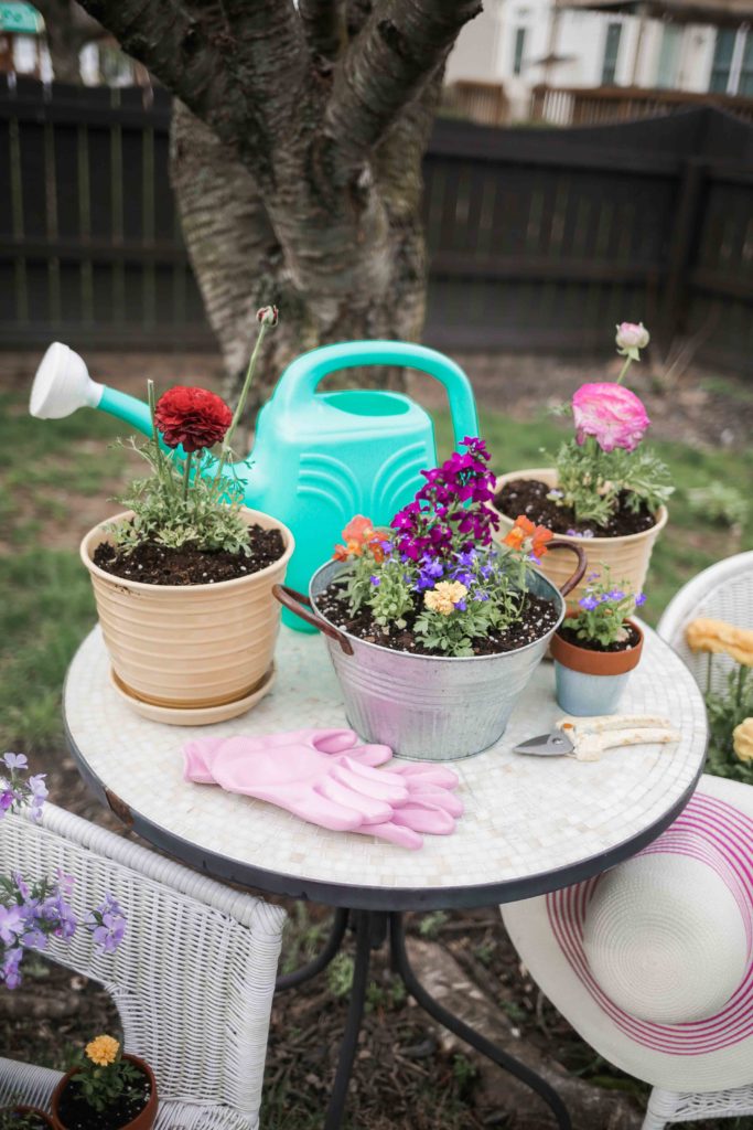 container gardening tips
