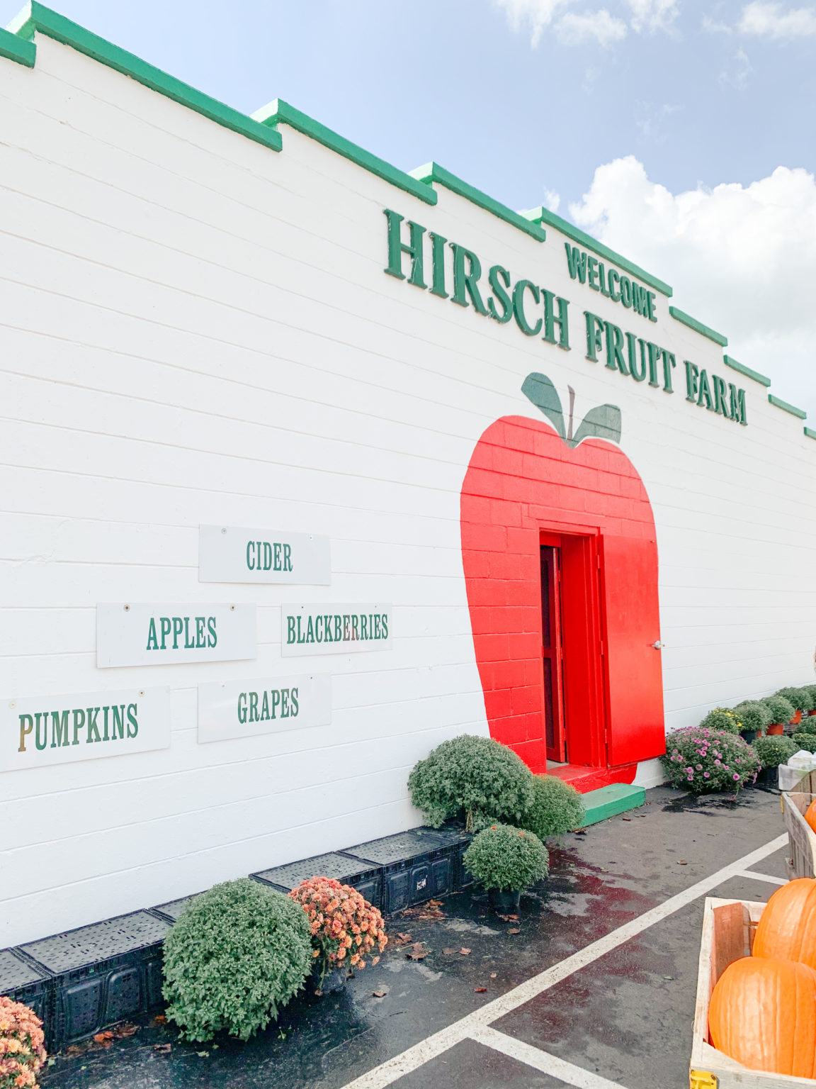 Picking Apples at Hirsch Fruit Farm