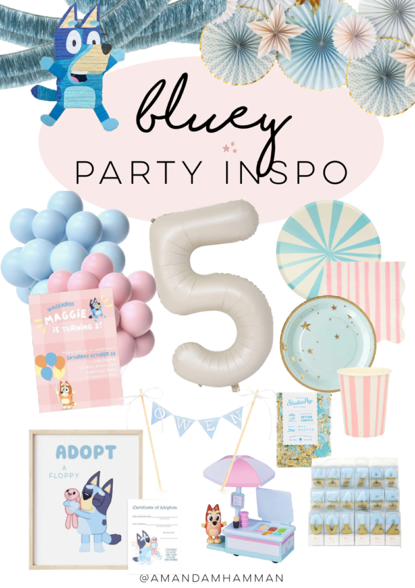 bluey birthday party inspiration and ideas