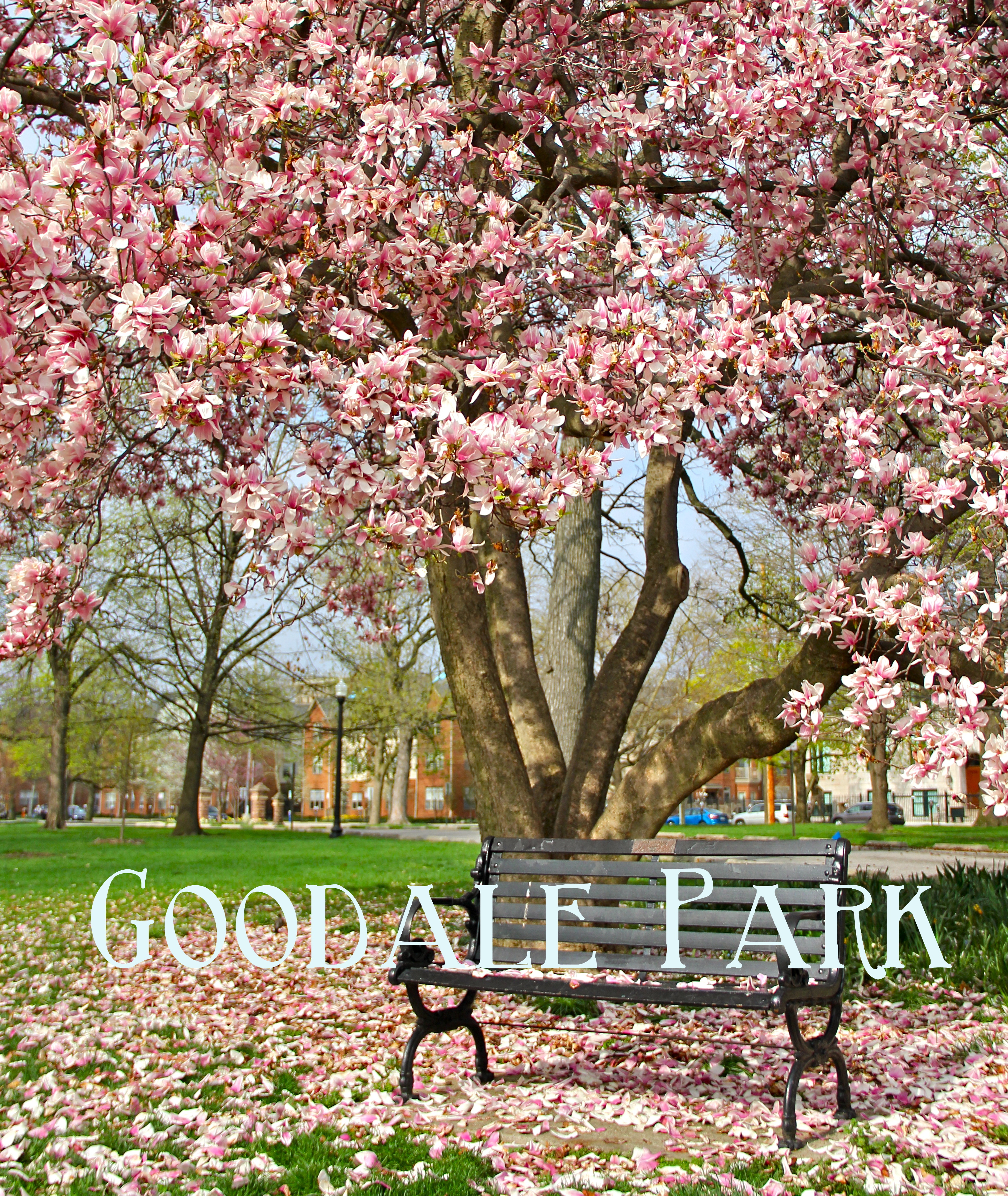 Goodale Park | Girl About Columbus