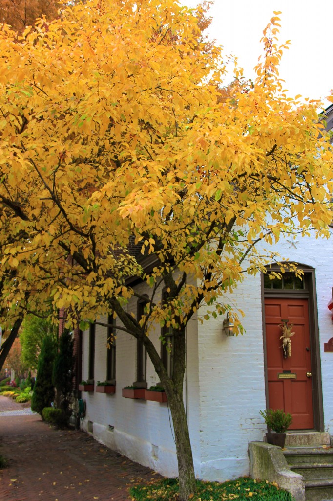 German Village Fall | girl about columbus