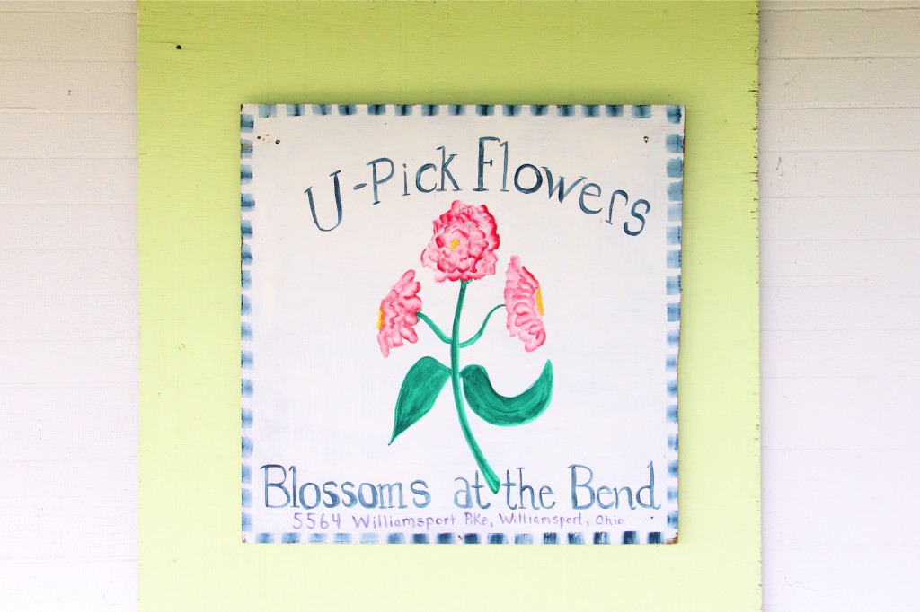 U-Pick Flowers | Blossoms at the Bend | Williamsport, Ohio