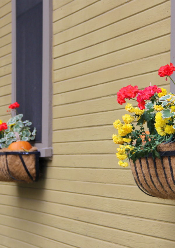 fall_flowers_window_boxes