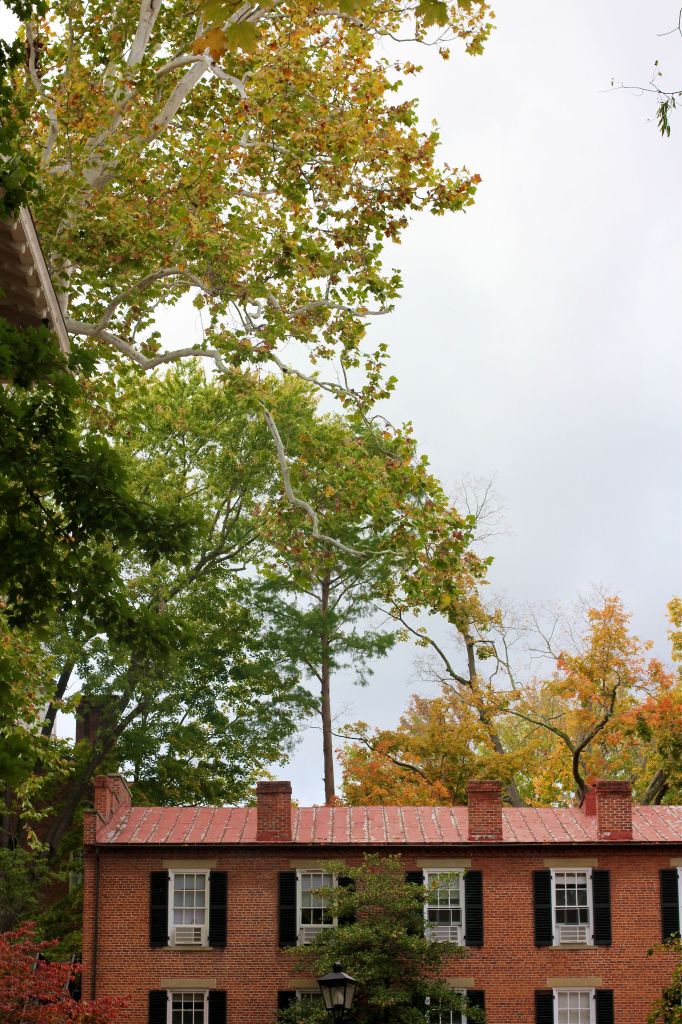 Ohio-University-Athens-Ohio-Fall-2014