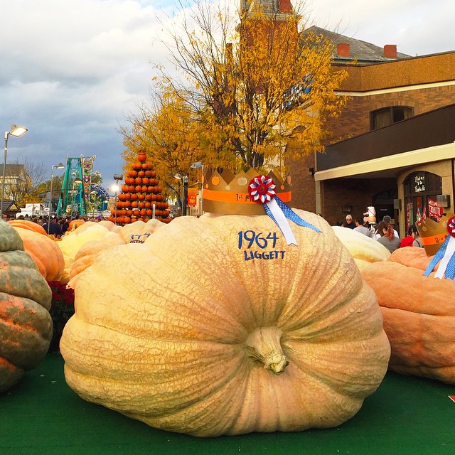 circleville-pumpkin-show-pumpkin-winner-october-2014