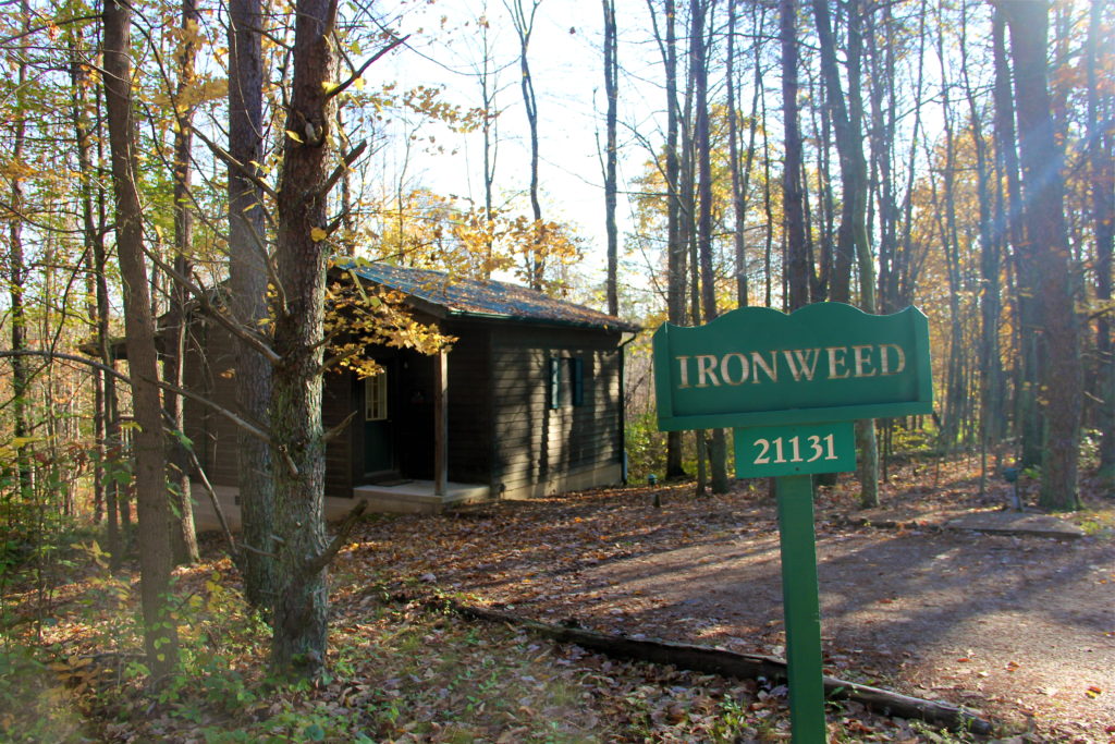 ironweed-cottage-inn-at-cedar-falls