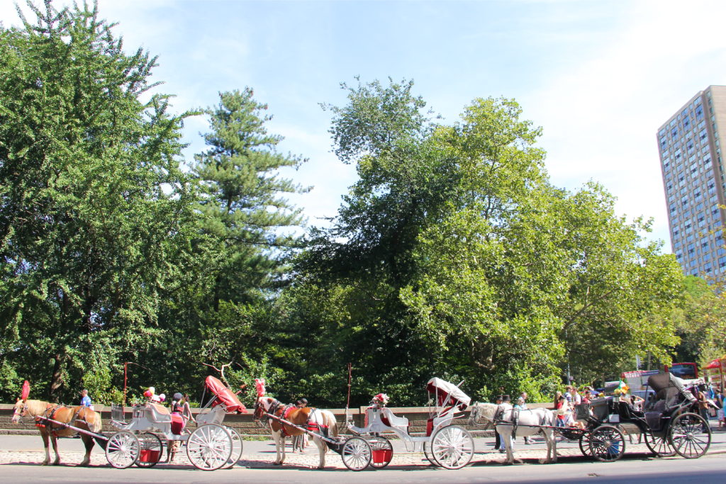 central-park-carriage-ride-new-york-city
