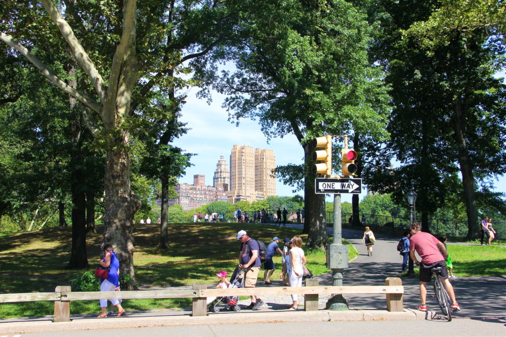 august-2015-central-park-new-york-city