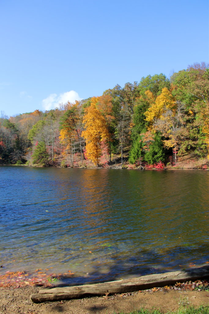 Rose Lake | Hocking Hills