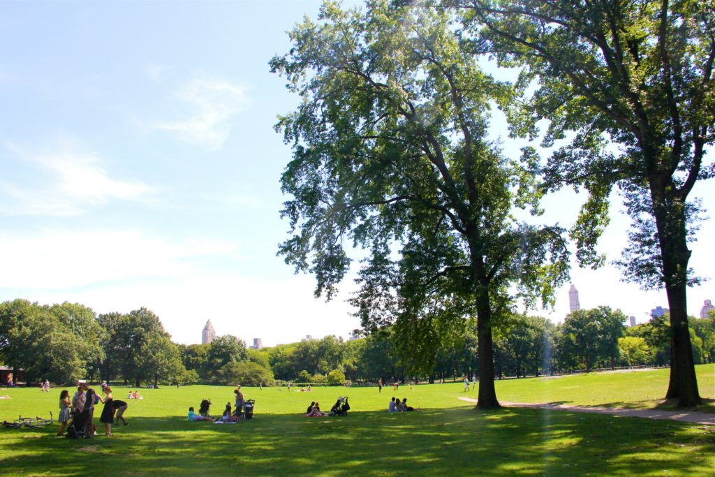 Summer-in-Central-Park-NYC