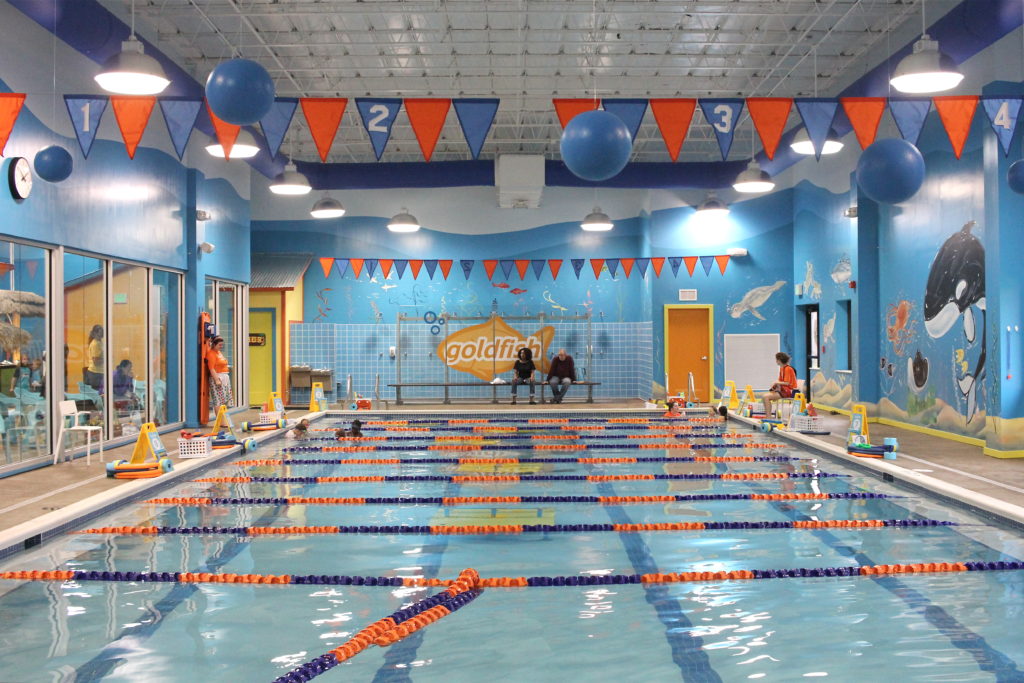 goldfish-swim-school