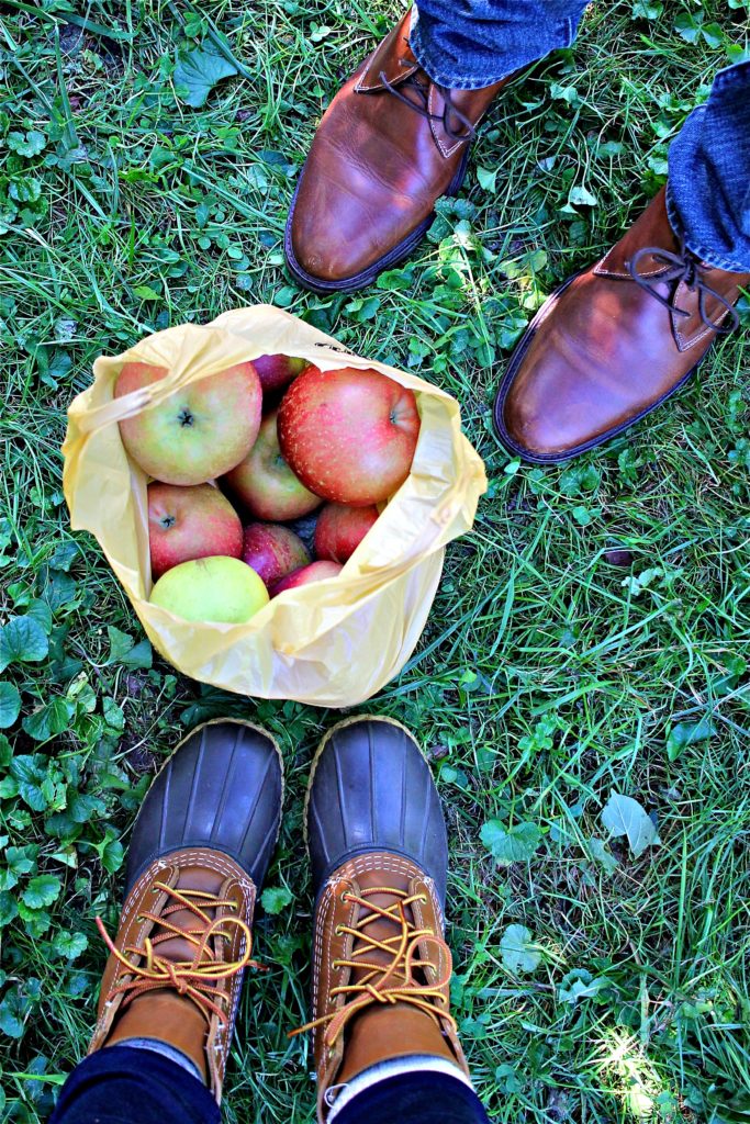 apple-picking-at-lynd-fruit-farm