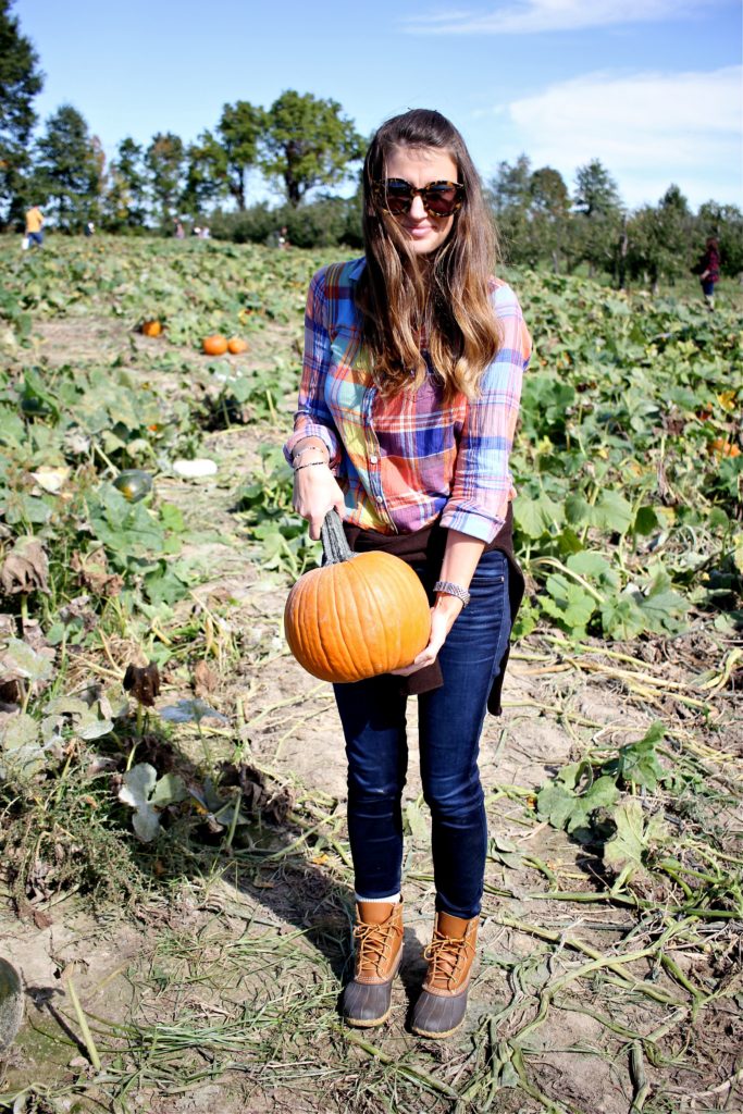 Picking Pumpkins at Lynd // girl about columbus