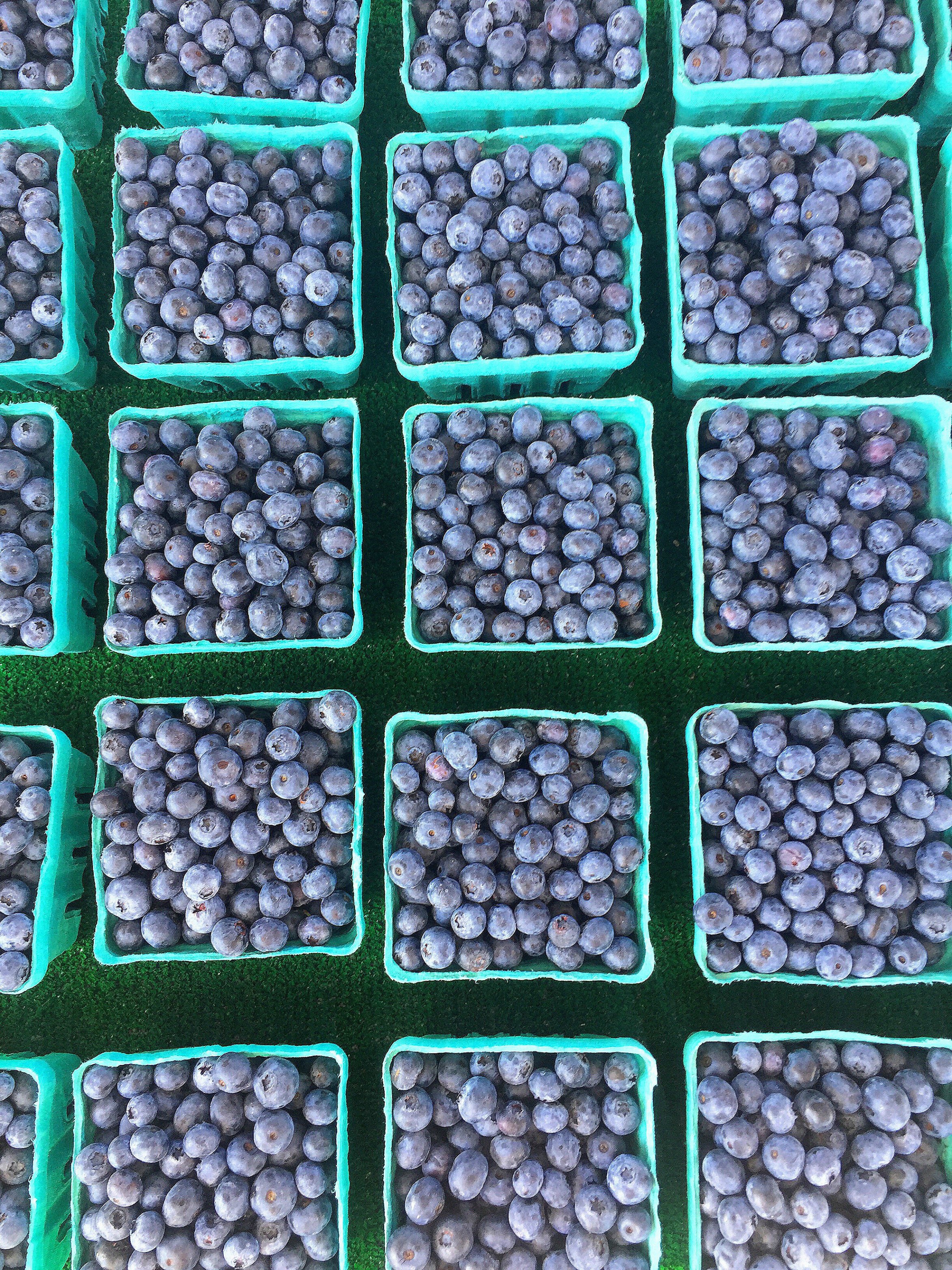 blueberries at holland farmers market in michigan