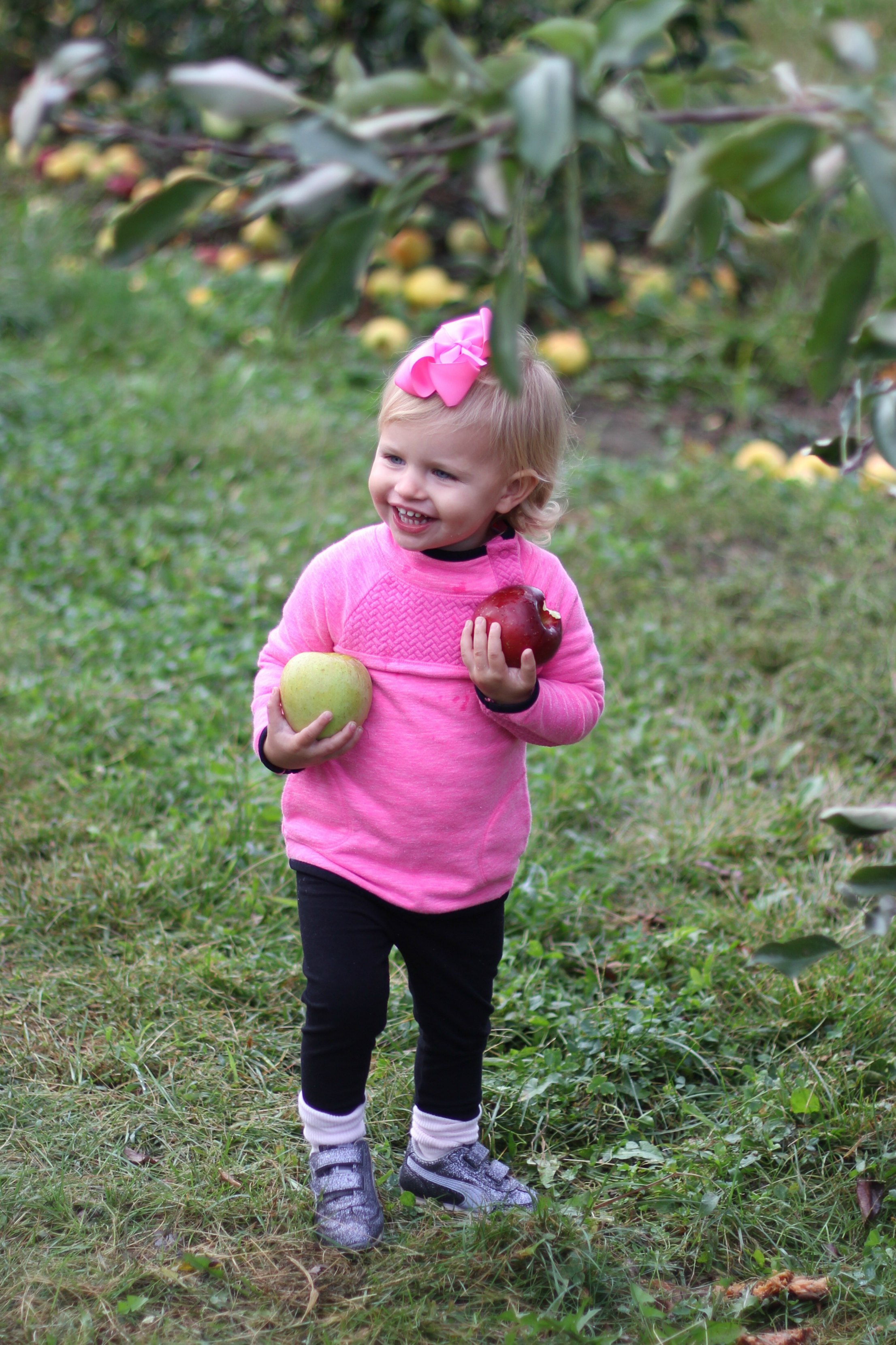 apple picking // girl about columbus