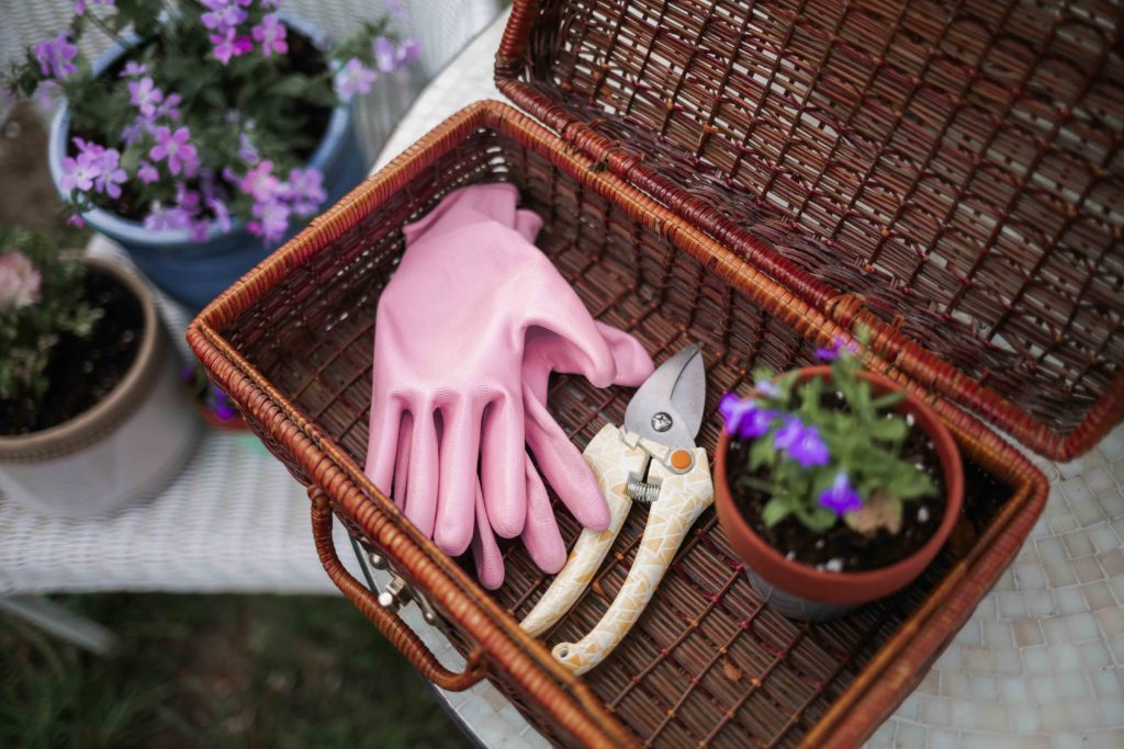 cute gardening supplies