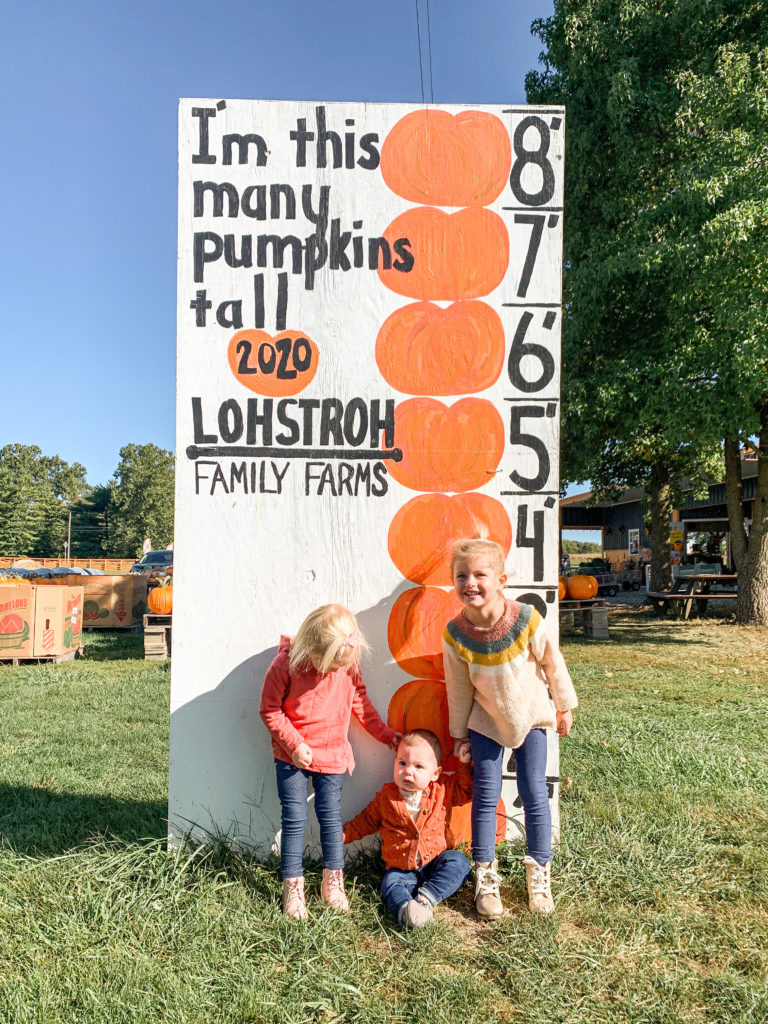 lohstroh's pumpkin patch mt. sterling ohio