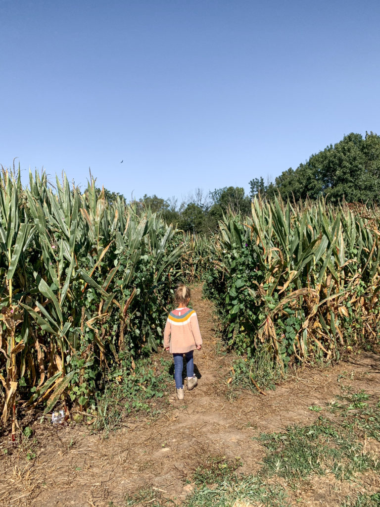 lohstroh's pumpkin patch ohio fall fun