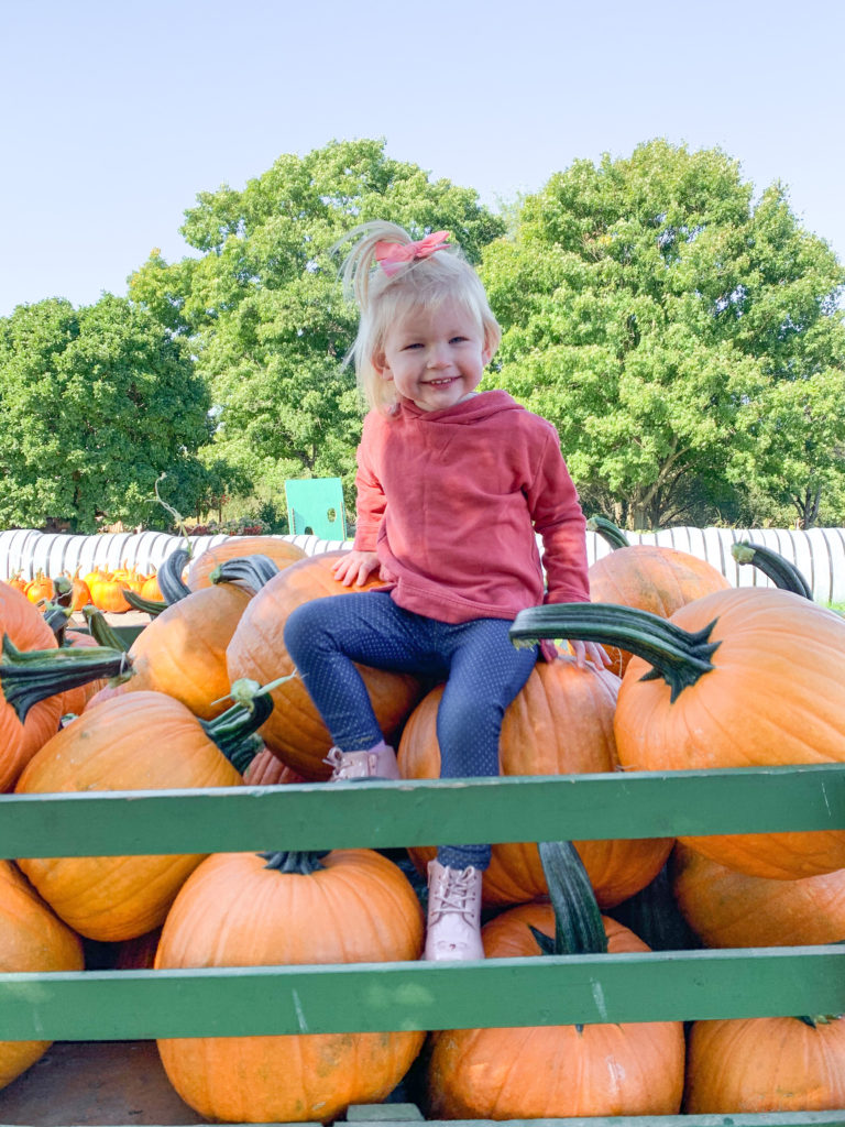 lohstroh's pumpkin patch ohio