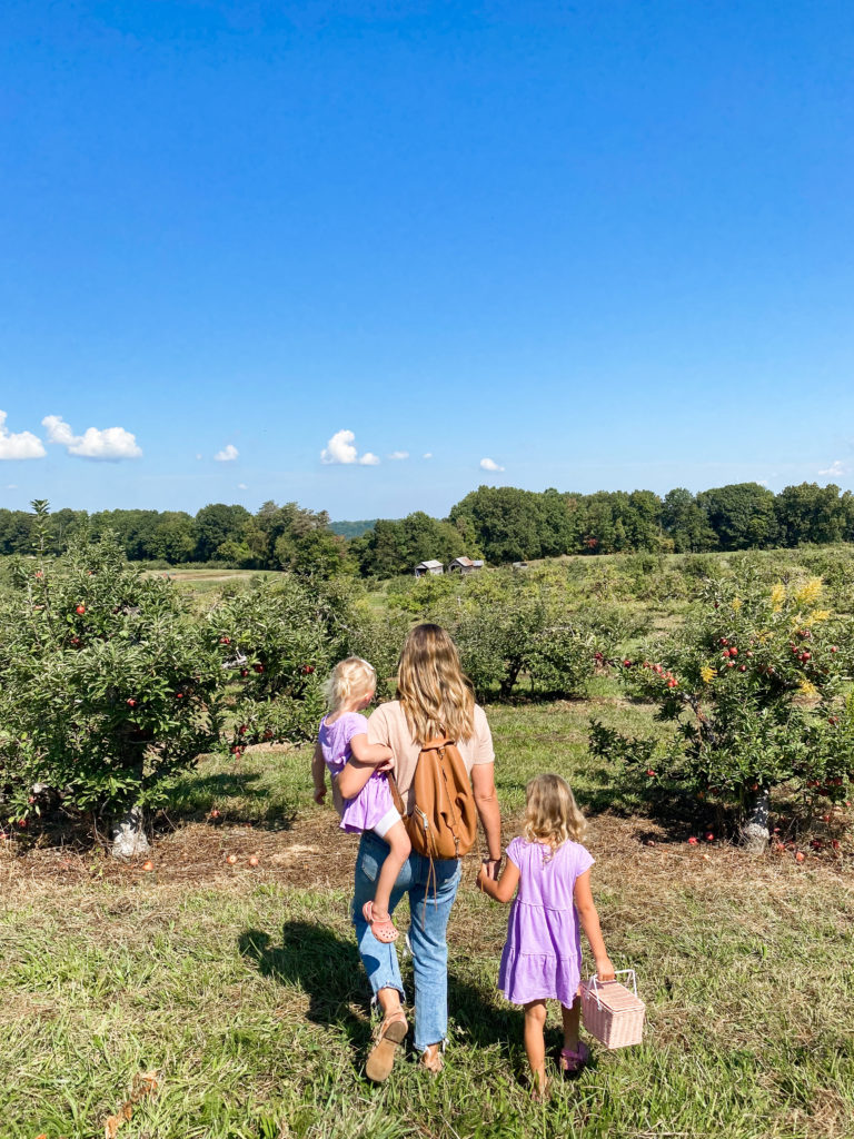 Fruit, Citrus, and Apple Picking Bag Amish Made in Ohio by E-Z Outdoors