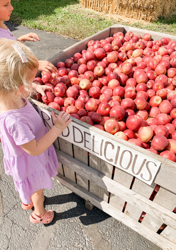 Where to Pick Apples in Central Ohio