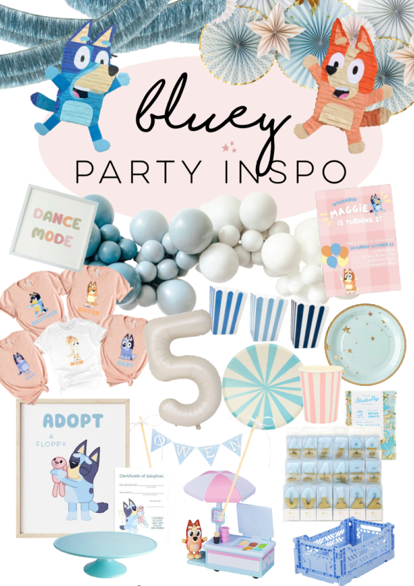 Bluey Party