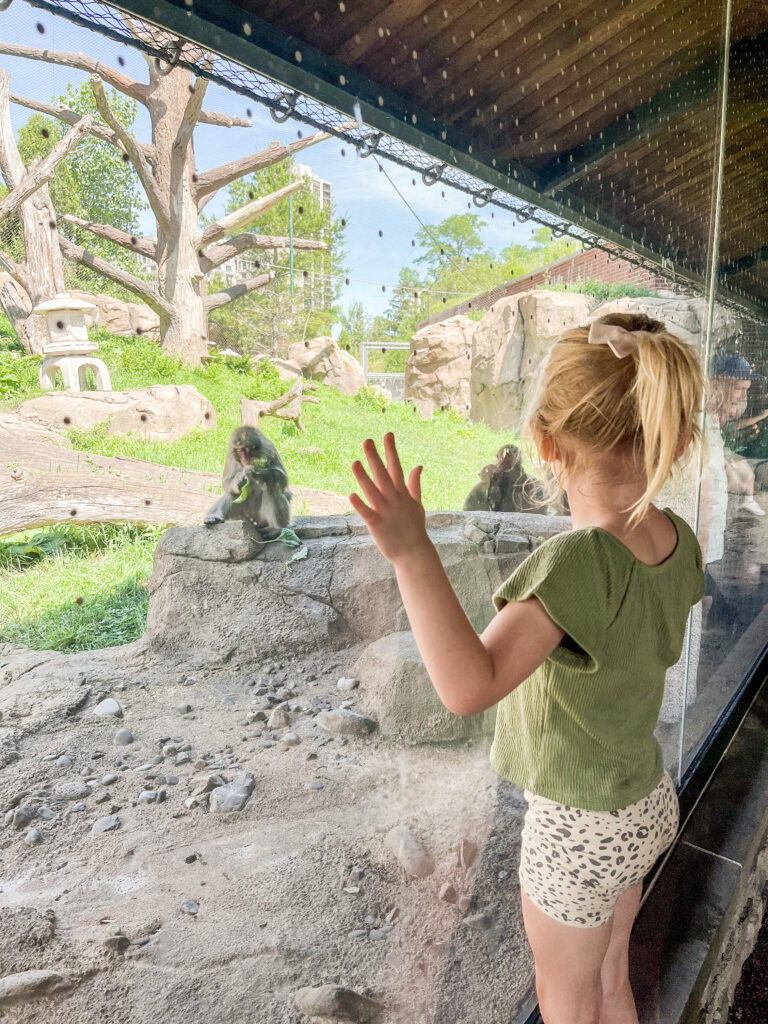 lincoln park zoo in chicago