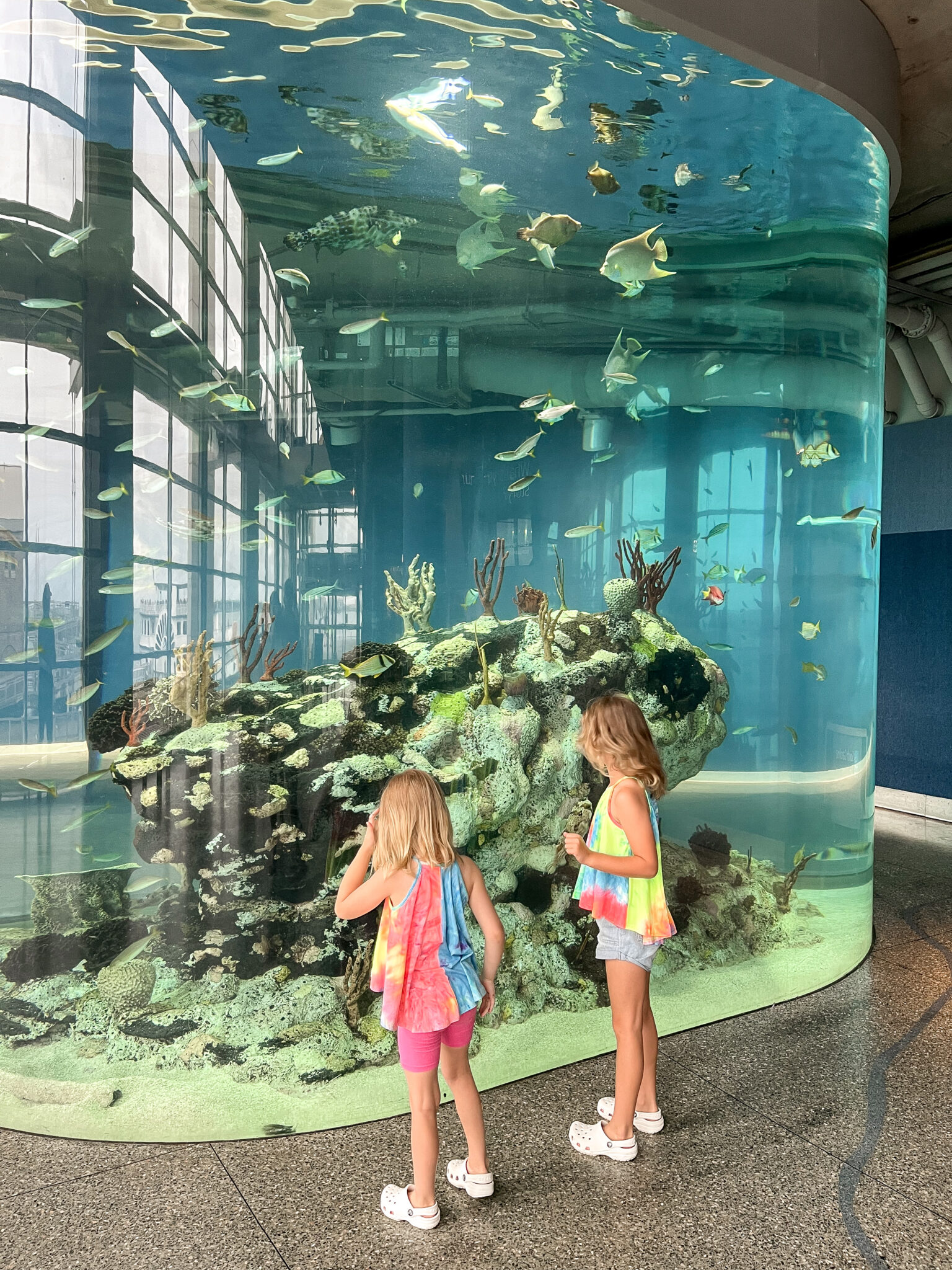 Charleston with Kids: 10 Best Things to Do - amanda party + home