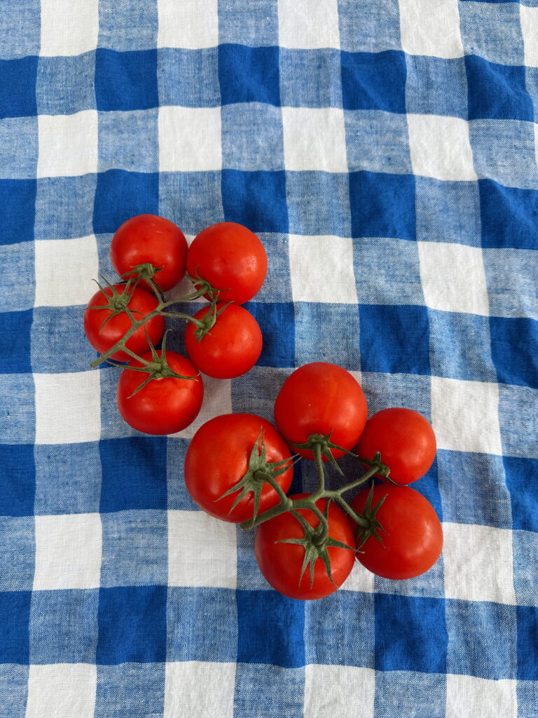 tomatoes on the vine
