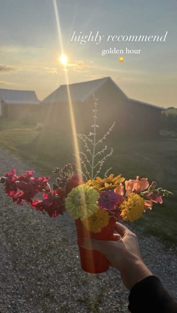 blossoms at the bend u pick flower farm ohio