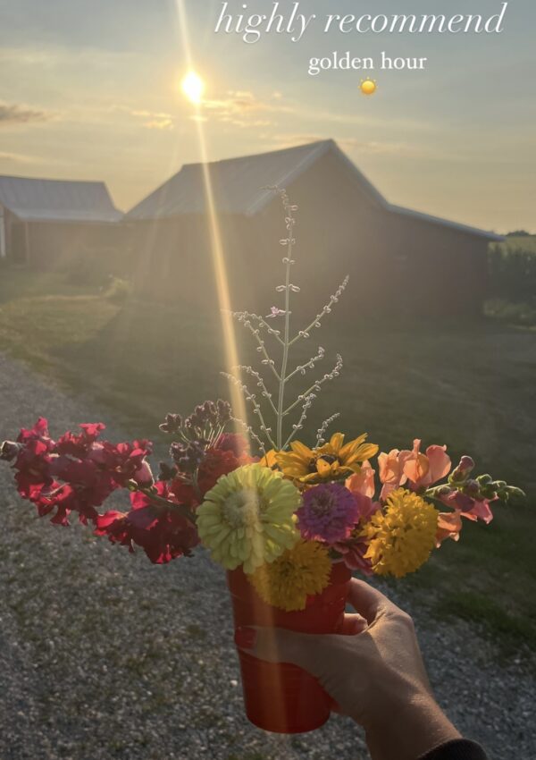 Golden Hour Flower Farm Visit